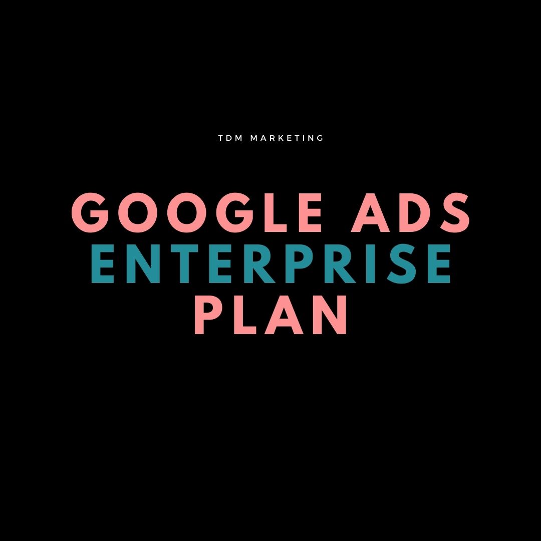 Google Ads Management Cost