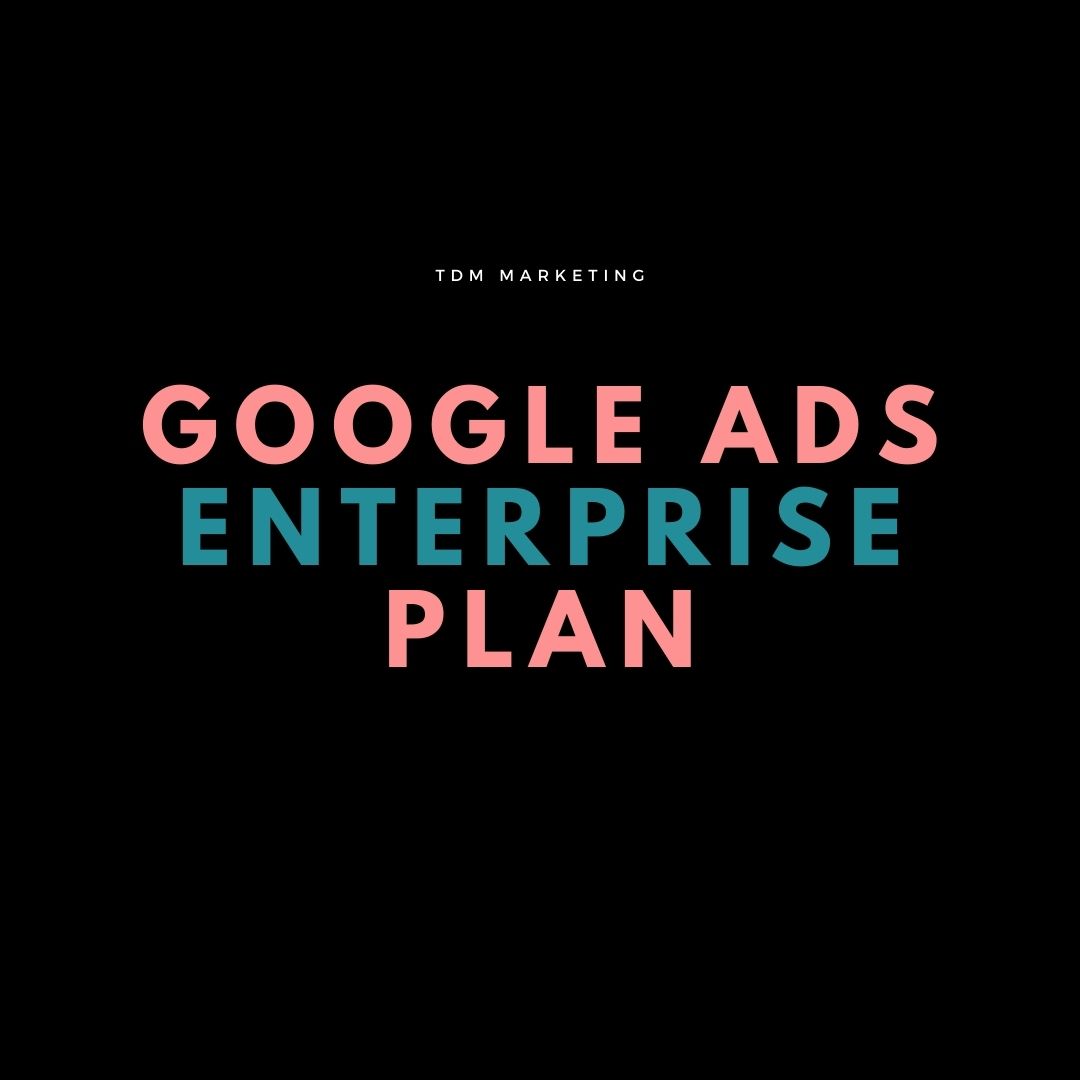 Google Ads Management Cost